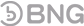 Pacific Spins casino BNG provider logo